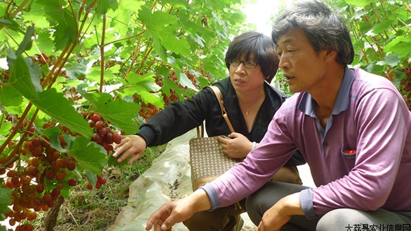 ���������������������