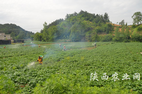 ��������ǿ�������� ������������