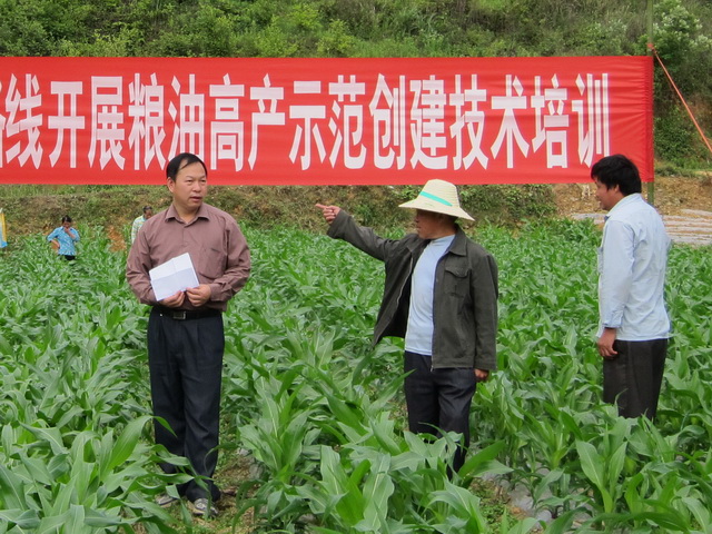 ��������ʵʩ���׸߲�������Ŀ