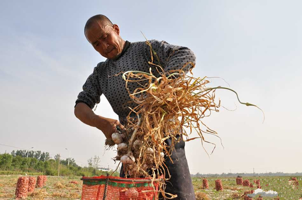 ɽ����������70����Ķ����ϲ�����