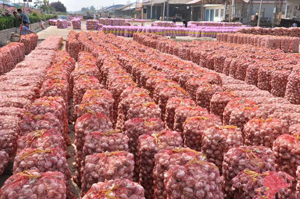 ���˽⣬�����ش�����ֲ�����70����Ķ�����ܱ߼��顢�����Ұ�����䡢���ؼ����շ��ص�6�������ɡ���������������������������������ֲ����ߴ�200��Ķ�����й�������ֲ���ġ�