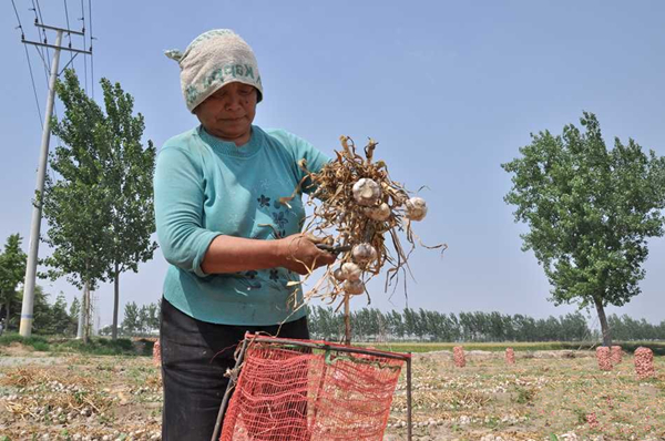 ����ٷ�֮��ʮ���϶��ִ��⣬ȫ��С����ֲ���Ӧ�ò��ᳬ��90Ķ