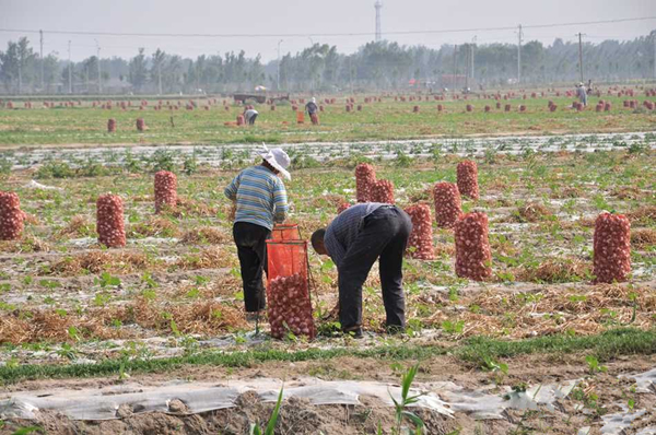 �����ش����ҵ��ϢЭ�᳣��᳤�������߽���