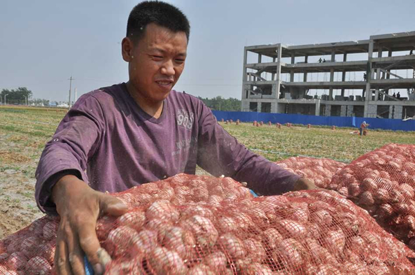 Ŀǰ����������ɽ������ջ��ѽ�β�������˽⣬�����ش�����ֲ�����70����Ķ�����ܱ߼��顢�����Ұ�����䡢���ؼ����շ��ص�6�������ɡ������������