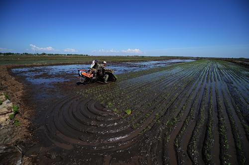 ��������ˮ����������˳������