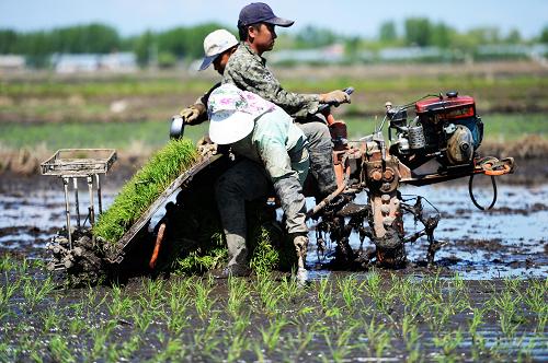 5��19�գ�������ʡ�ܱ���������ԣ�����������û�е������