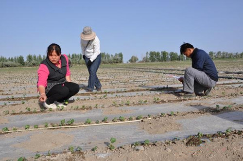 �½����ŵ���ʦһ�����ſ�չũҵ�����������