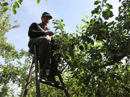 �½����ŵ�һʦ���Ź�ũΪƻ�������