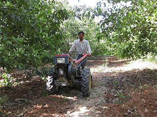 新疆兵团第一师二团使用旋耕机清除果园杂草