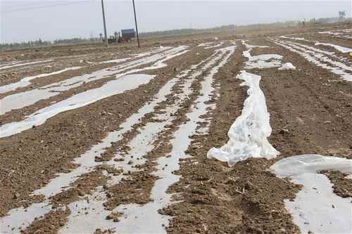 ɹܶ׸߲԰15%Ĥ⵽ƻ