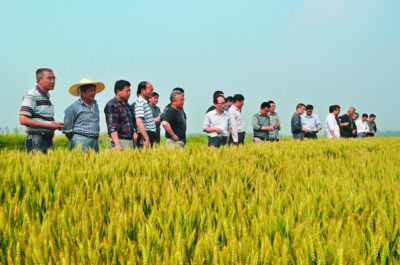 ���ճ��ݣ��߽�����ѡ����