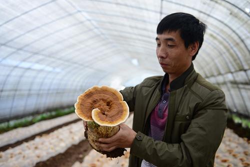 525գʩһҵļԱչʾ֥֥ǽ΢Ԫ֥ӷ飬ʵ֥кзḻ