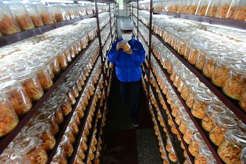 525գʩʥҩҵ˾ĹæµݲƷԶĲΪ壬תелĺתʴﵽ96%ϡ