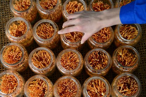 525գʩʥҩҵ˾ĹݡòƷԶĲΪ壬תелĺתʴﵽ96%ϡ