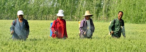 525գӱ̷ׯũ溦ũҩ