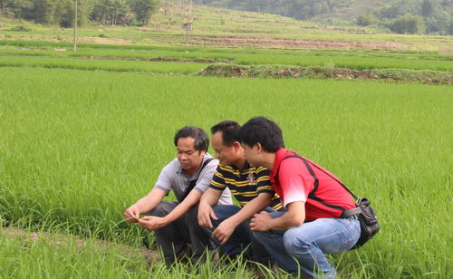 ������ƽ�ؼ�ǿ�絾������ع���