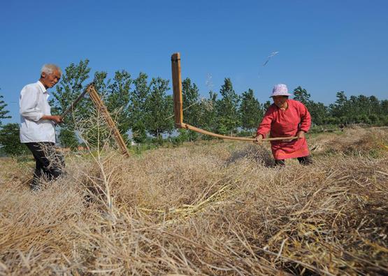 ���շʶ�����������˫��æ