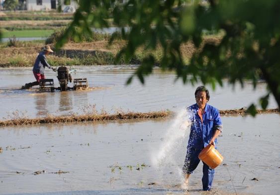 5��23�գ�����ʡ�Ϸ��зʶ��ذ����ũ�������ַ���������������������ϡ�