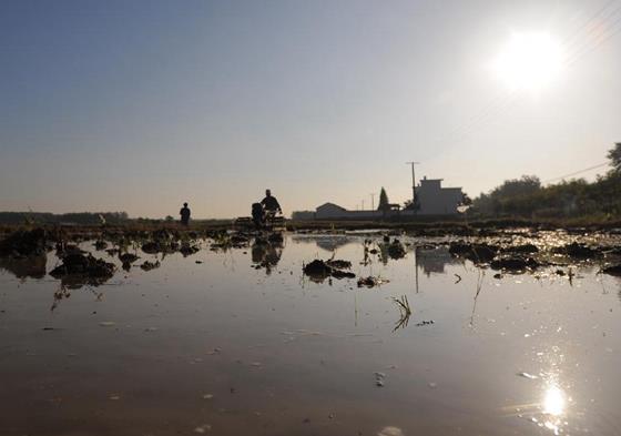 5��23�գ�����ʡ�Ϸ��зʶ��ذ����ũ�������ַ��������������׼���Բ����硣