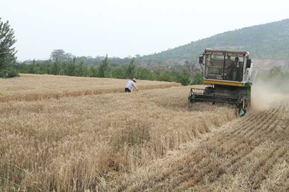 ���ջ���С�����ո�