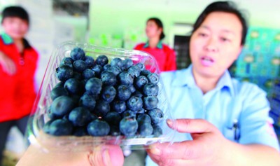 ���պϷʱ��ز���ݮ��������