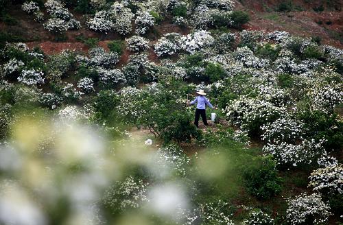 ����ʡ�Ž��У�۶���������ӻ���