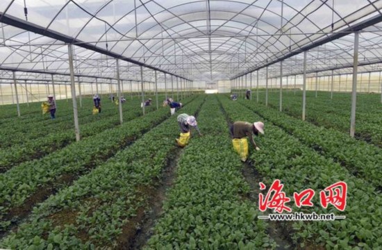 Ϻ5.85Ԫ߲˴5000Ķ ˳