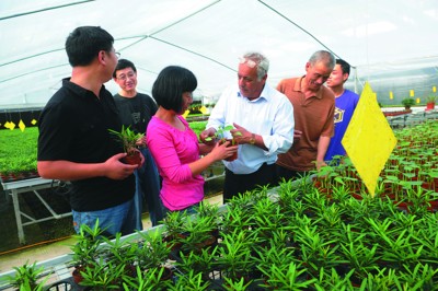 ���գ�ũҵ԰ǣ����ר��