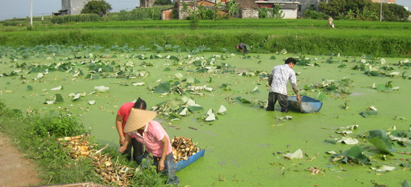 ������۸�����������ź½����������