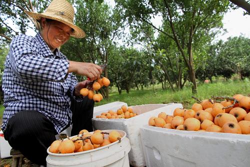 527գʡ˴о˫ϪӱũӢڹ԰ղժĻƽˡ