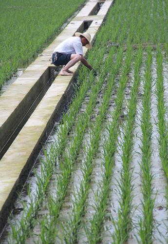 ����¡�س������������������æ����