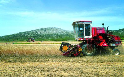 ���գ�3685��ĶС�����ո�