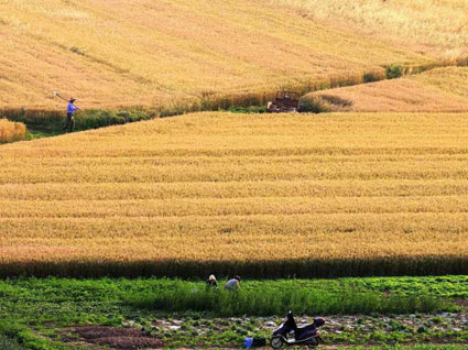 ���գ���������С������ڼ�