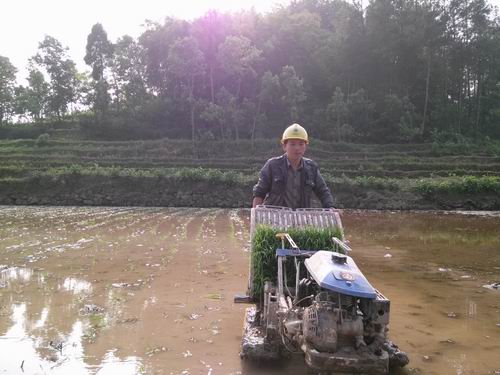 重庆武隆县水稻移栽掀起高潮2