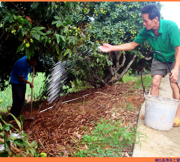 �����ֱ���ũ��֦԰��ʩ��æ