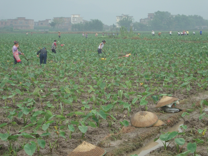 �����������ƹ���3000��Ķ������������