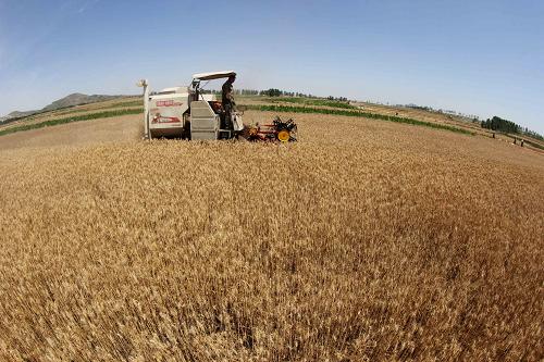 �������մ�Ļ����