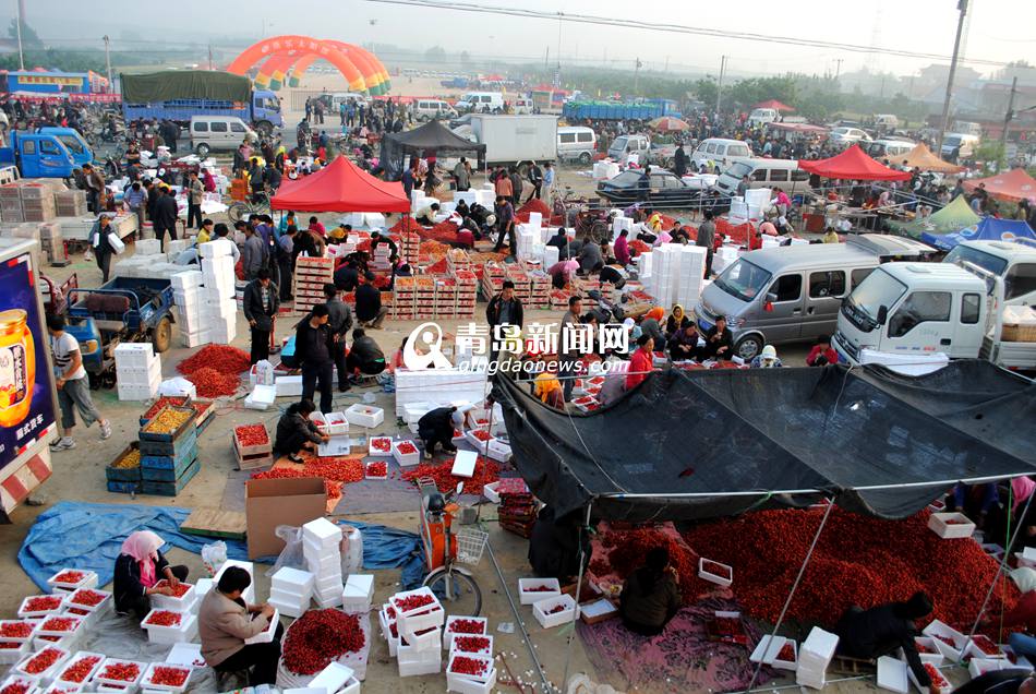 ɽ���ൺ��ɽ��Ķ��ӣ����� ����ɫ��ζ��3