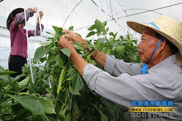 �������Ǹ������Ķ����ﷴ����������������