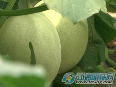 ������ͨ�������л���Ϸ��� ��ũϲ��ü��