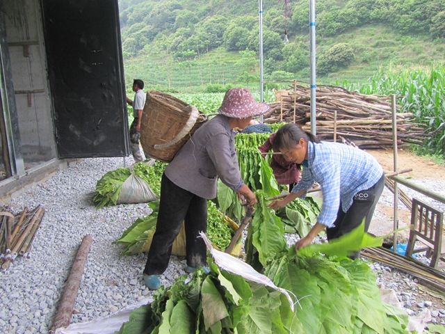 ������ɽ�ؿ���ȫ�������պ濾�׶�