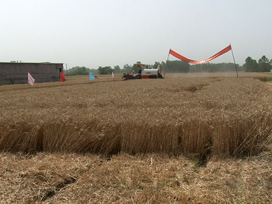 ��������سǹ��������Ĳ������ݱ