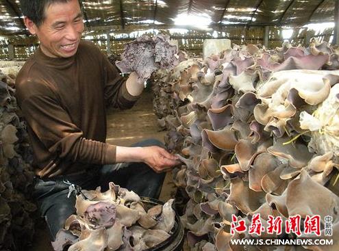 ���շ��ؿ����������ַ�������ִ����