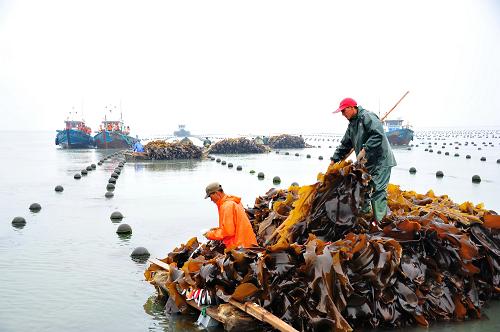61գժɽٳɵĺժոĺװϴ
