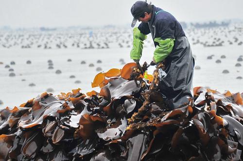 61գժɽٳɵĺժӺֳո