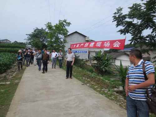 ���ϴ������ٿ�2014����ʳ����߲�������������