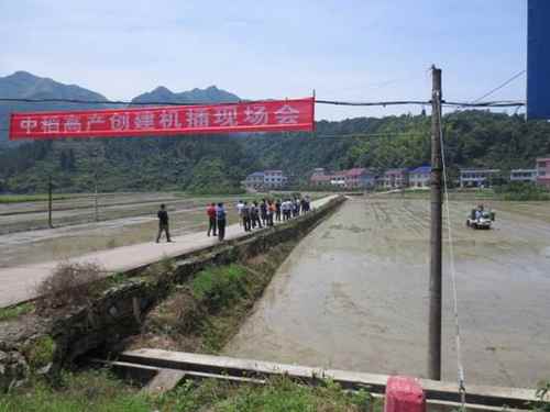 ���ϴ������ٿ�2014����ʳ����߲�������������2