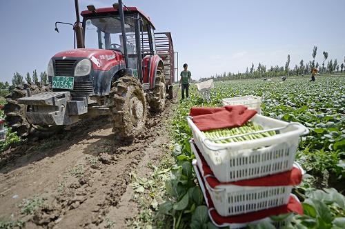 عֲ߲أũ׼ժĲװۣ528㣩