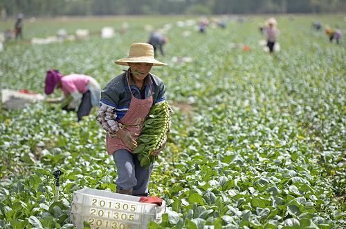 عֲ߲أũժģ528㣩