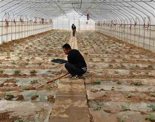 ɹԭ߲˰칰족ᴿ׳˳